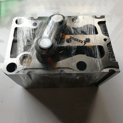 Cylinder head assembly with valve WP10
