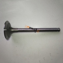 Intake valve FOTON-1049A 1069 1099 1138