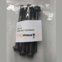 Cylinder head bolts